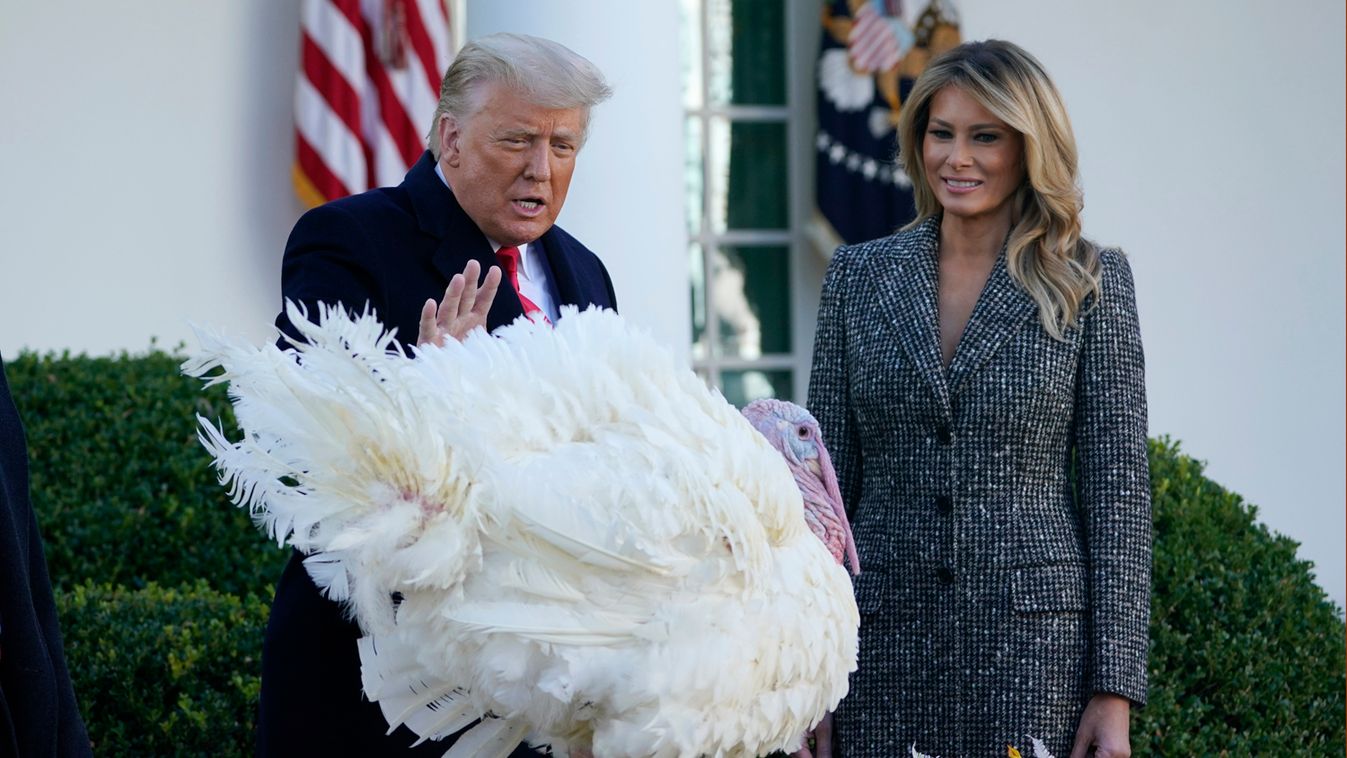 Donald Trump a Fehér Házban kegyelmet adott két pulykának