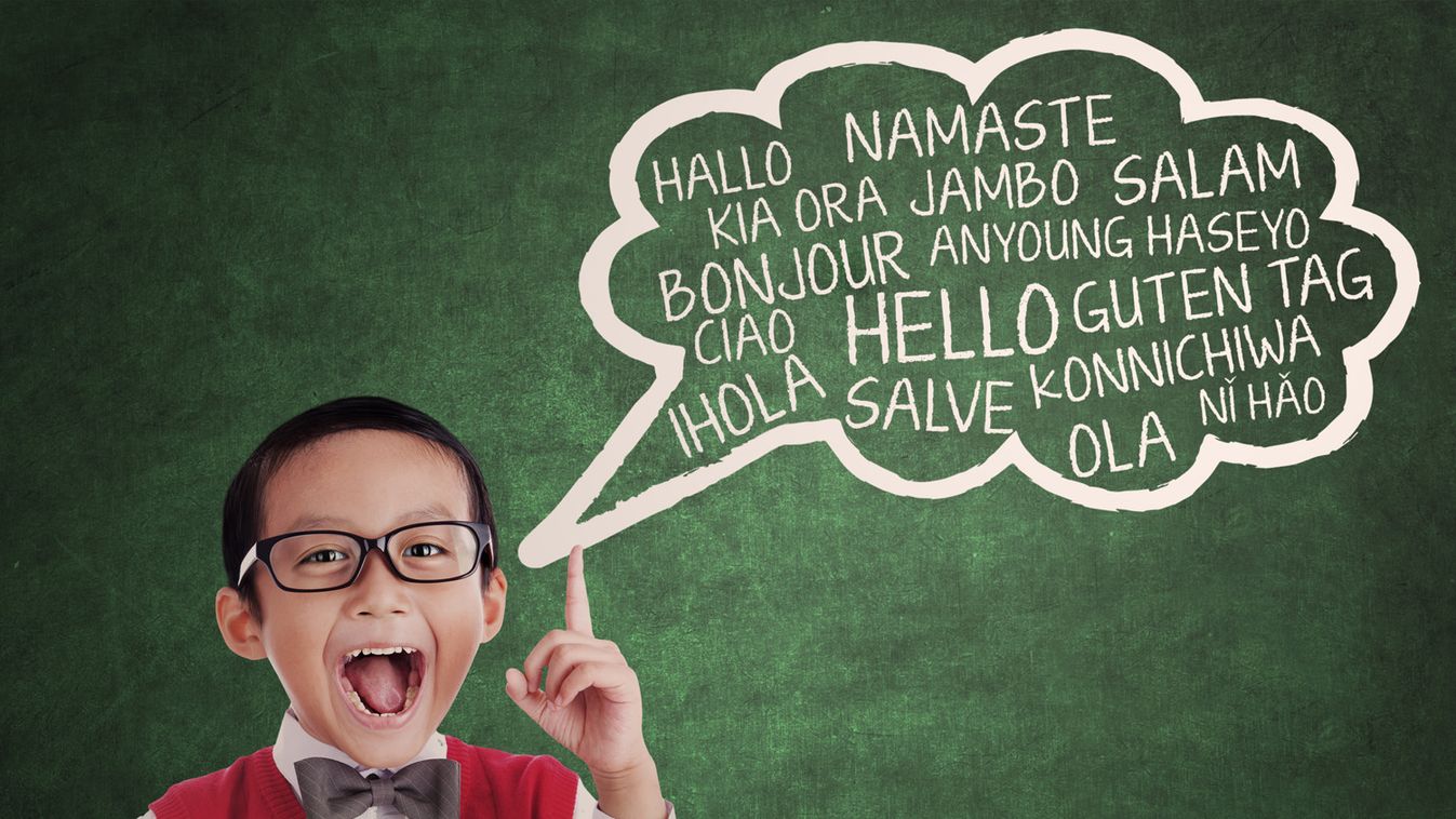 Hatodik alkalommal méri az Oktatási Hivatal a nyelvtudást