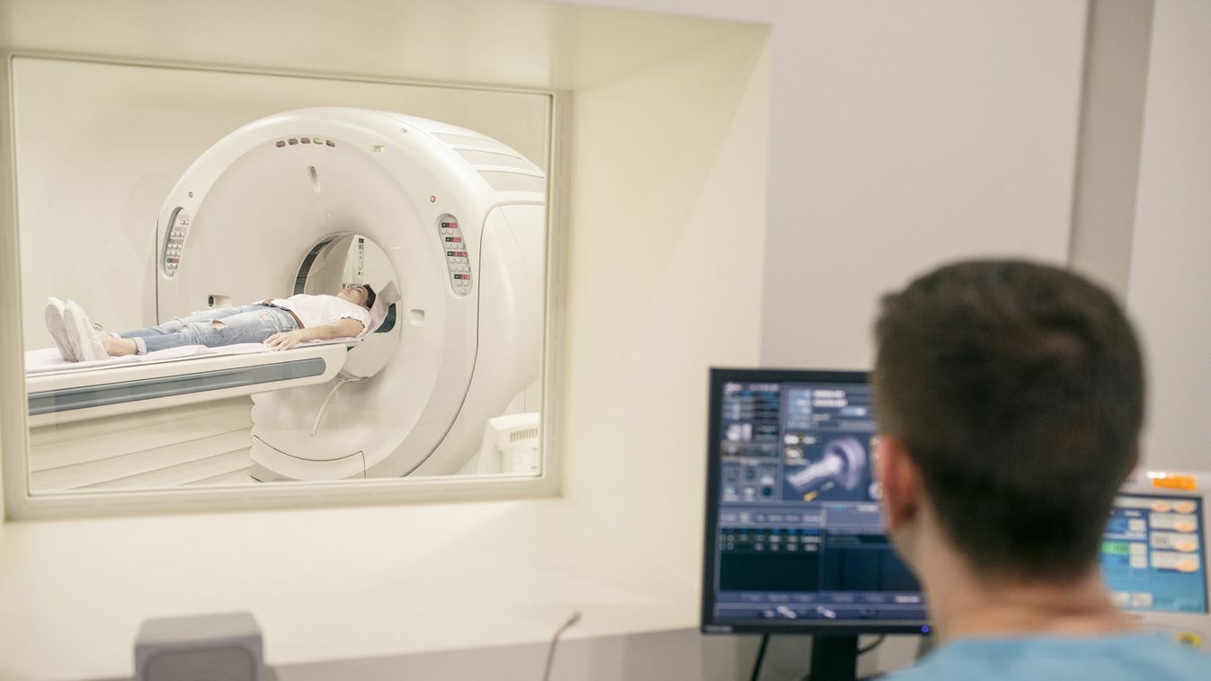 Az ELTE kutatói bizonyítékot találtak arra, mi befolyásolja az intelligenciát