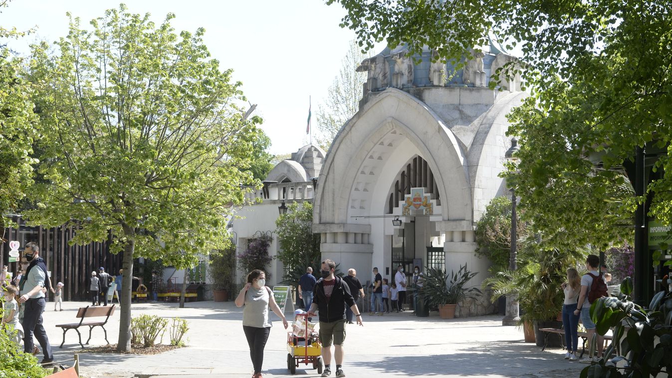 Így ünnepli fennállásának 155. évfordulóját a budapesti állatkert