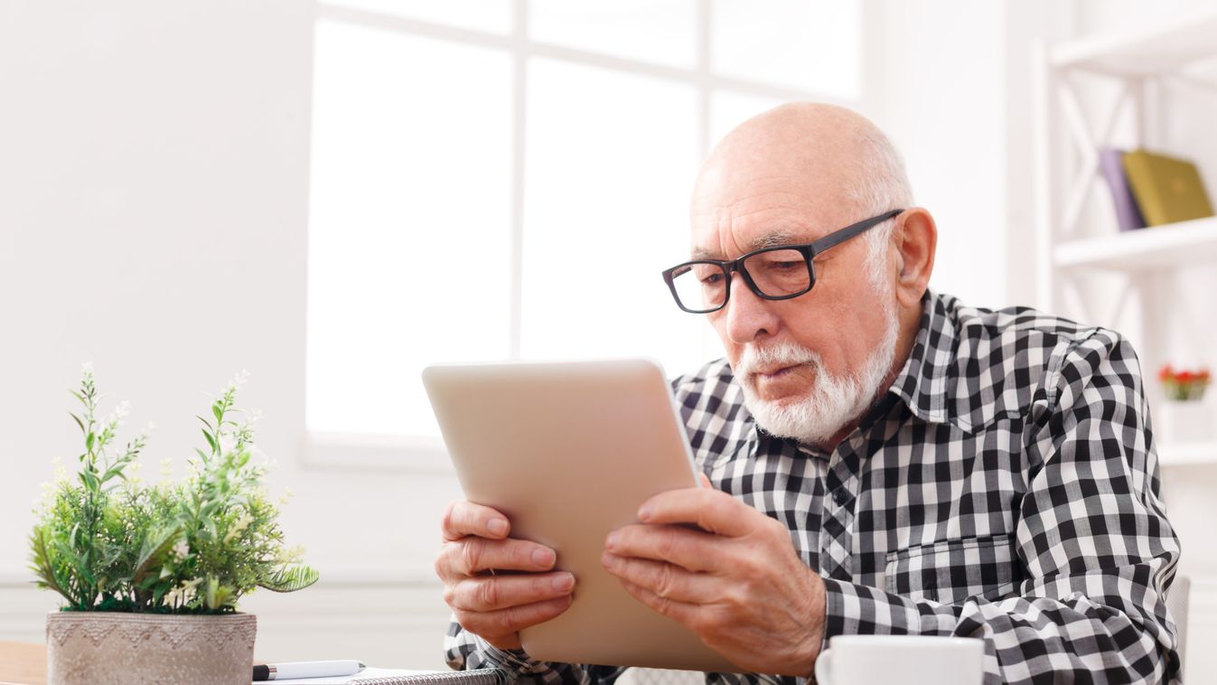 Pluszosok Egyeteme címmel online szabadegyetem indul