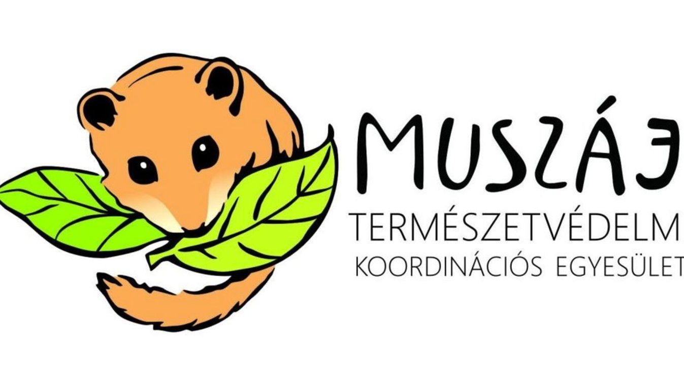 Nagyon Szemét Kvíz! Nyerj léghajós sétarepülést néhány szemét kérdéssel!