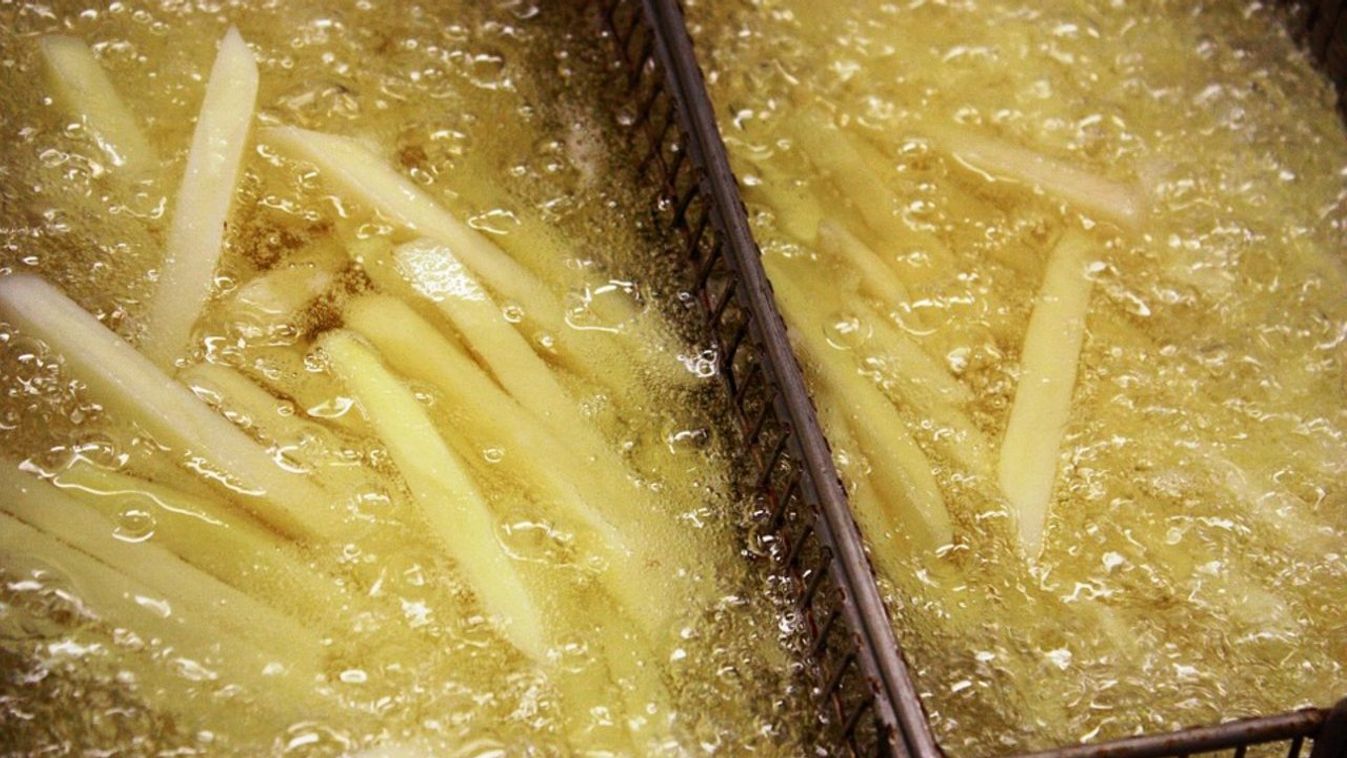 Felrobbant olajsütő ölt meg egy nőt és sebesített meg 14 embert