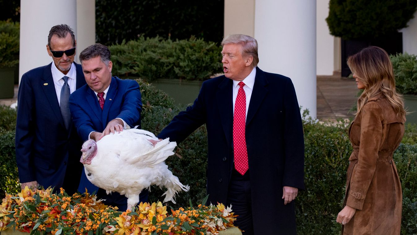 Kegyelmet adott az amerikai elnök az idén is hálaadás előtt