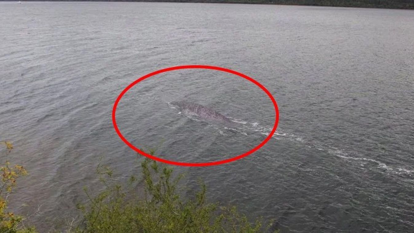Kiderült, mi van a Loch Ness-i szörnyet ábrázoló fotón