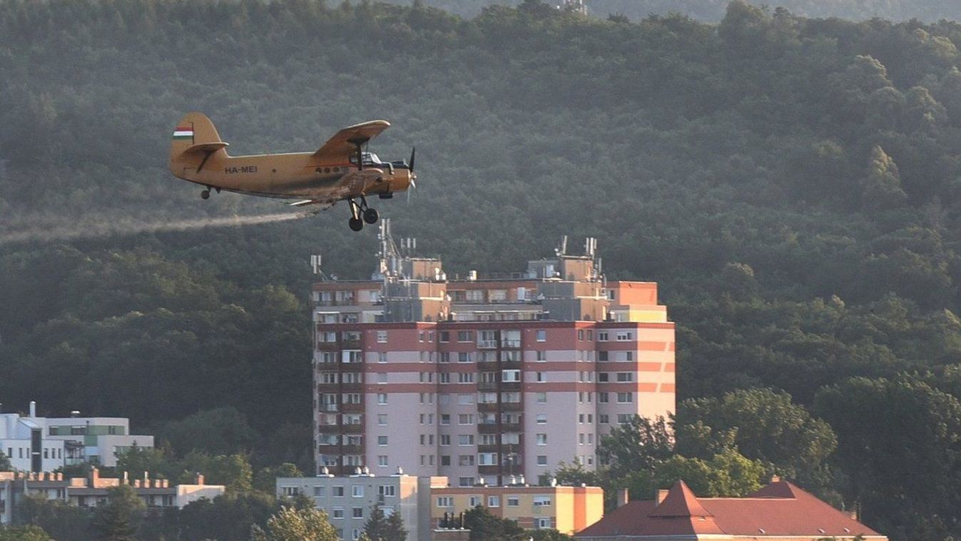 Biológusok a kémiai szúnyoggyérítésről: a következmény az, ami csípni fog!