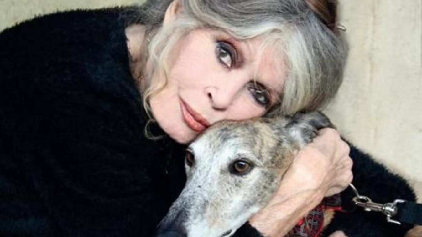 Karácsonyi csodát kér Macrontól Brigitte Bardot az állatok számára