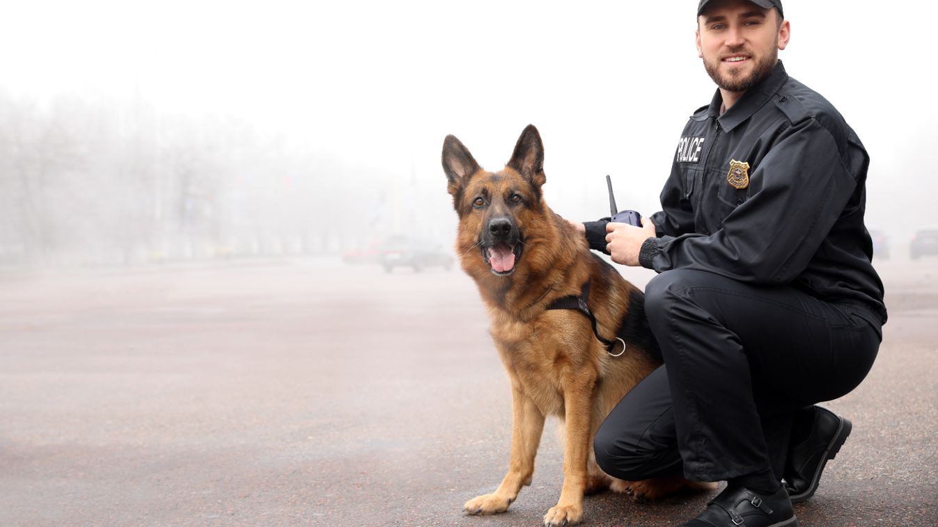 Szolgálati kutyákat keres a rendőrség, várják a jelentkezőket
