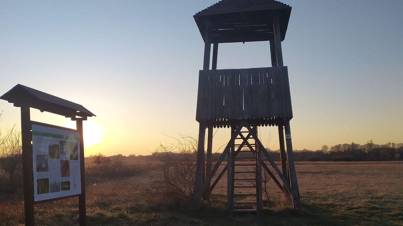 KISALFOLD - Megújult a Holt-Rába természetvédelmi területét bemutató ...