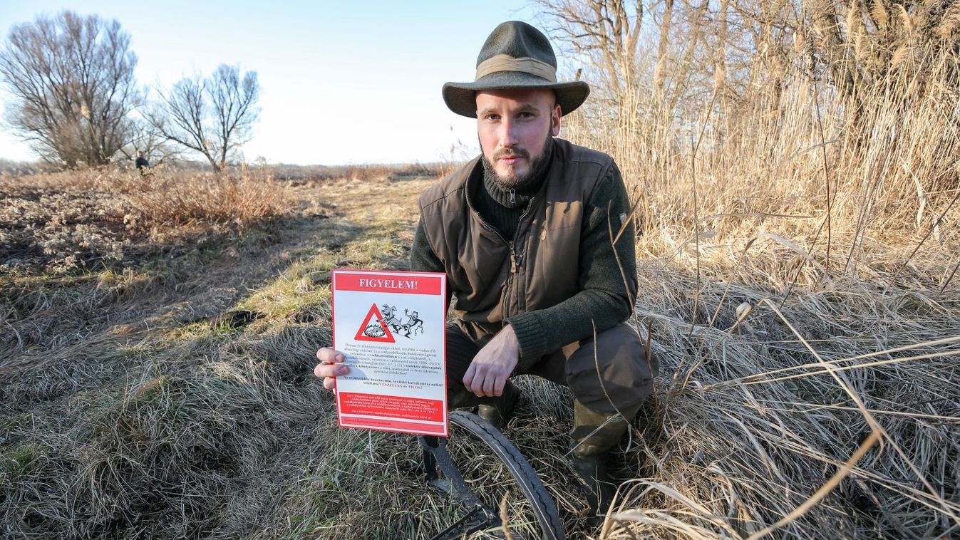 Üvöltenek az aranysakálok megyénkben, lakott területen is
