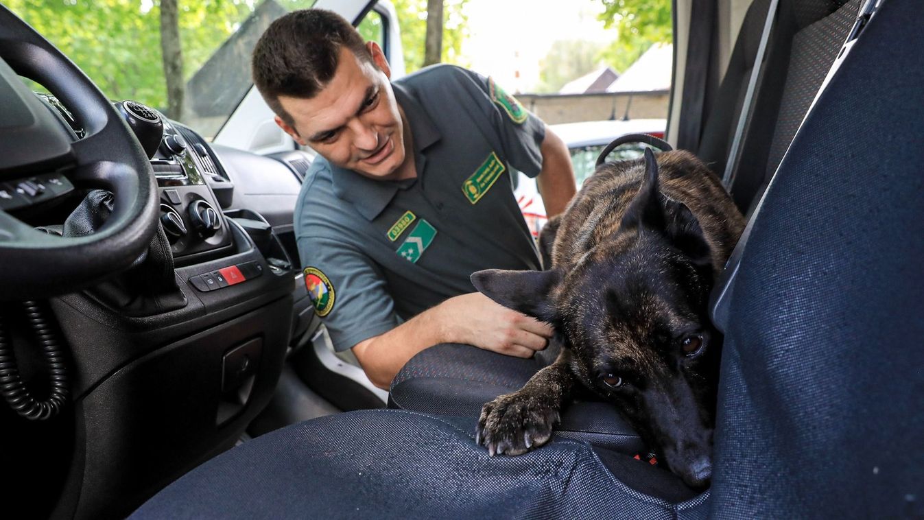 Győrből indul a bevetésekre Django, aki kiszagolja a dohányt - Fotók