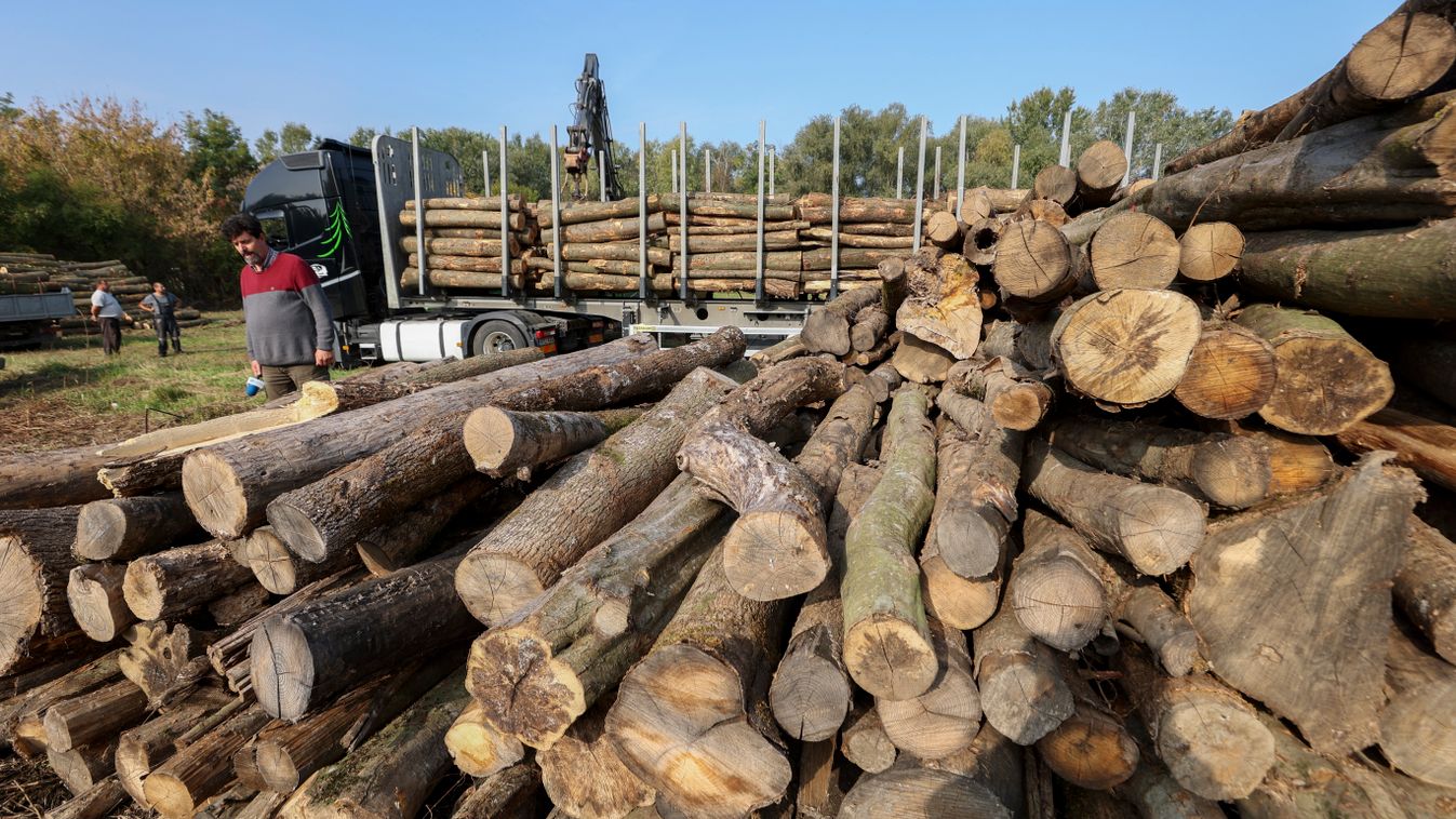Tűzifára ajánlották fel az illetményüket Győrújbaráton