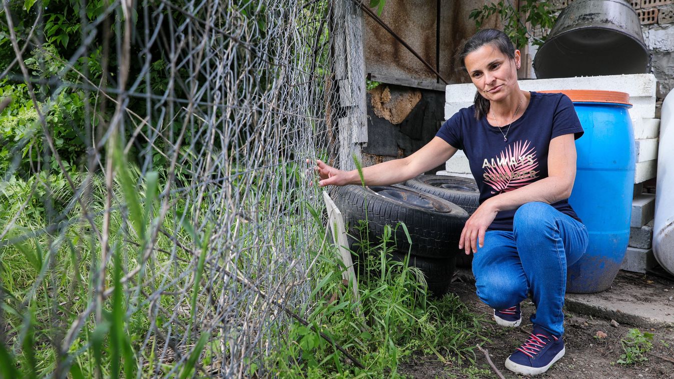 Drámai kutyatámadás Győrszentivánon - A családfőt a héten műtötték a Petz-kórházban