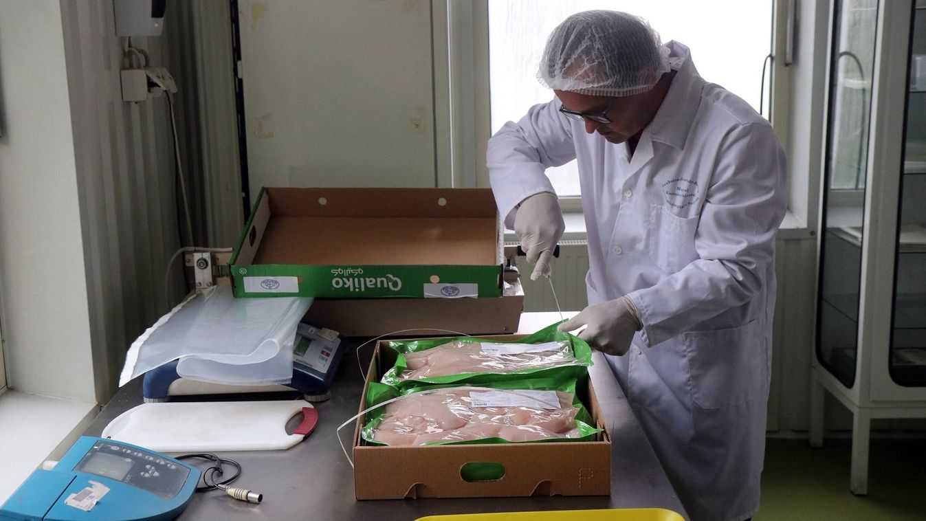 Uniós rendelet váltja a tagállami rendeleteket az ukrán agrártermékek importtilalma ügyében