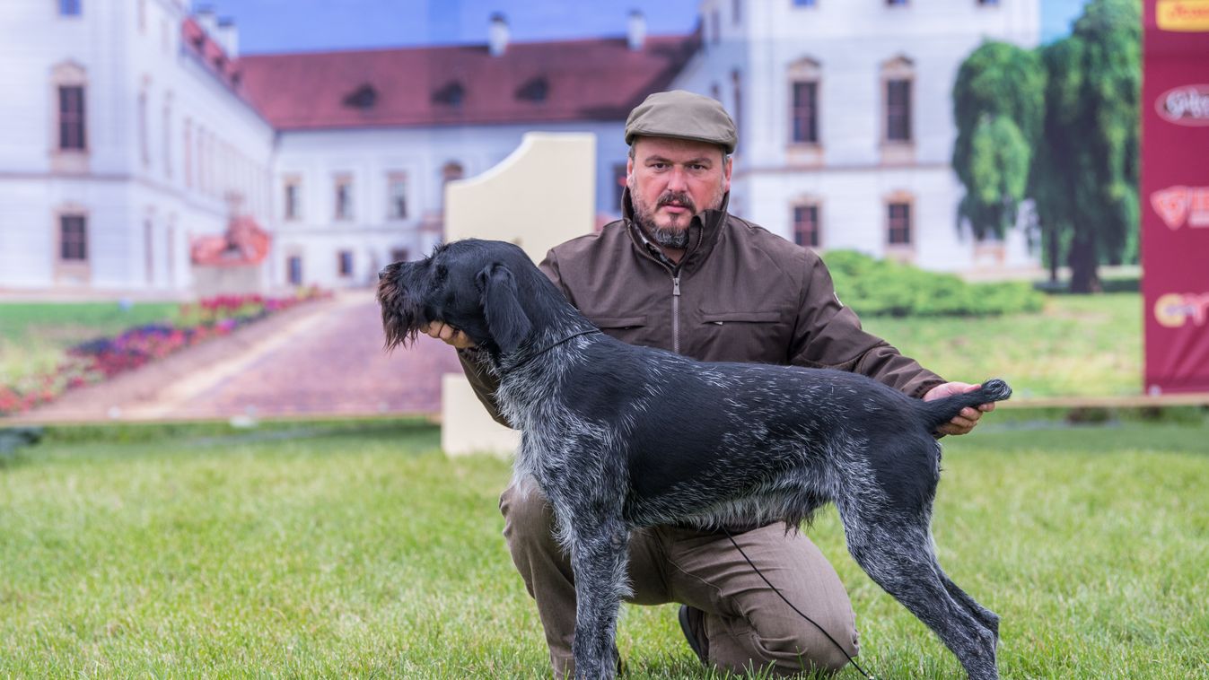 Távol a csapdáktól - Szabályozták a kutyasétát Gyórón