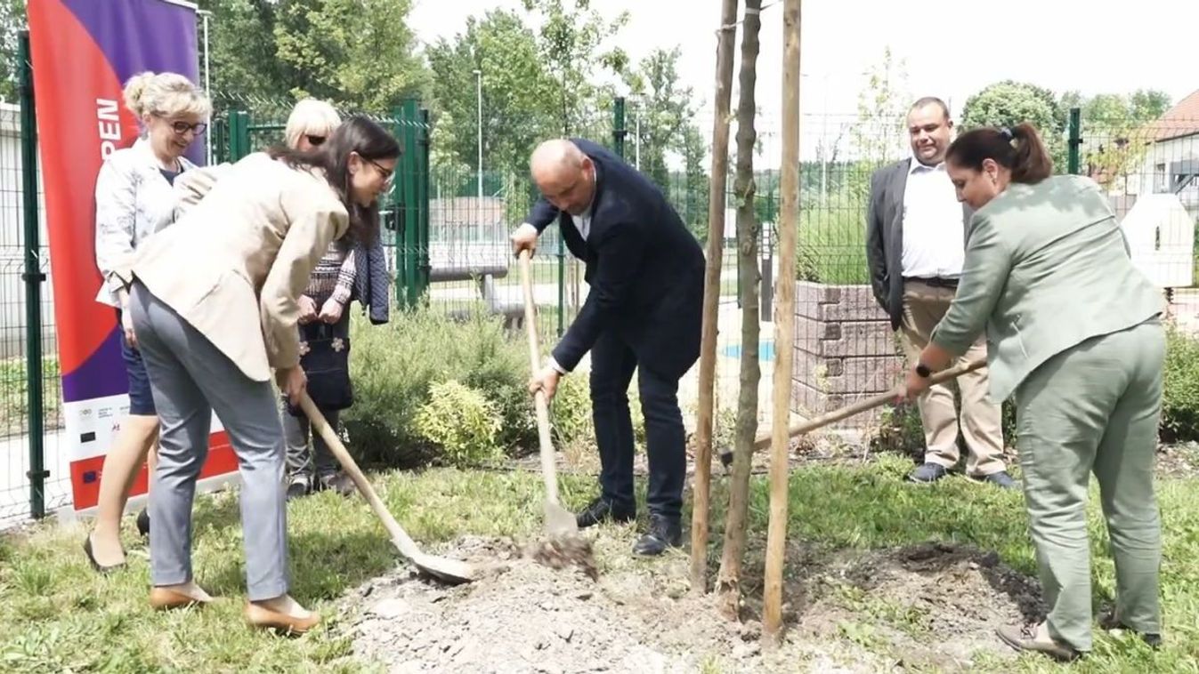 Közösen ültetettt fát a győri Gyakorló-iskola és a Mobilis - videó