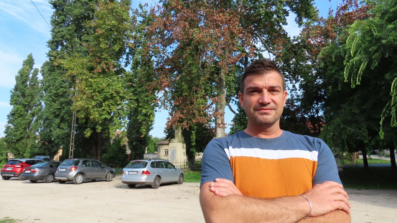 Megmérgezték a százéves platánt, Rábapordány egyik jelképét