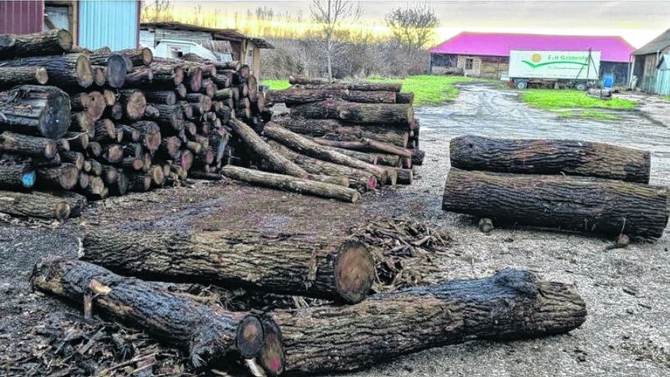 Tüzelő segítségként Acsalagon