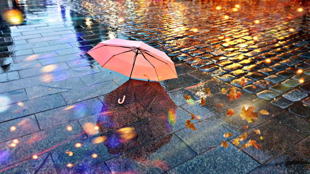 Rainy,Weather,,autumn,Leaves,Falling,On,Road,,,Pink,Umbrella
