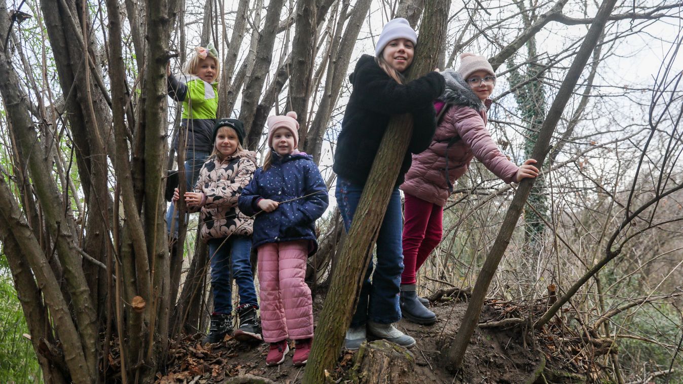 KISALFOLD A gyerekek erdei programon élvezték a természetet a téli szünetben Győrújbaráton fotók