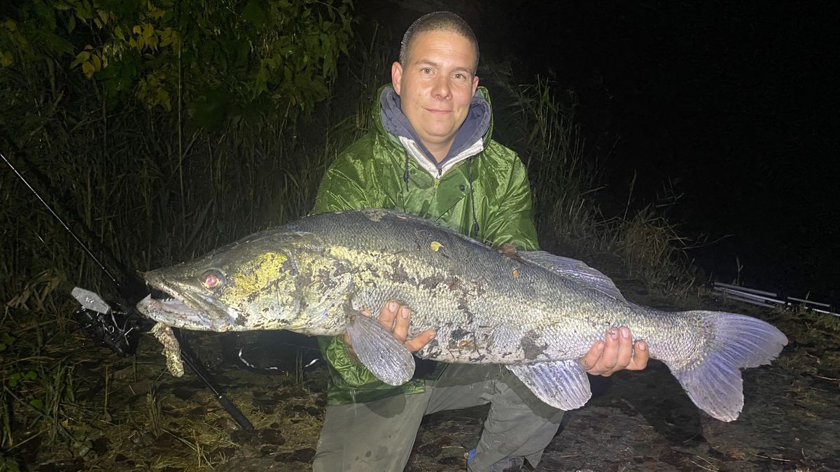 Kilenc kilogrammos süllő is úszkál a Dunában – Megmutatjuk a vármegye legszebb halait + fotók