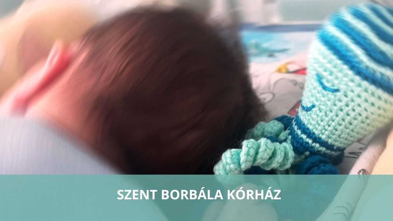 Gyönyörű kis hajas babát mentett a tatabányai inkubátor