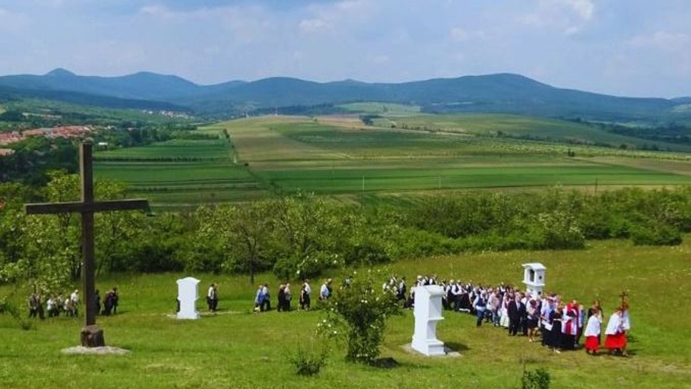 Szent Orbán-zarándoklat: a szőlő és a bor védőszentjének áldását kérik a Tokaji borvidéken