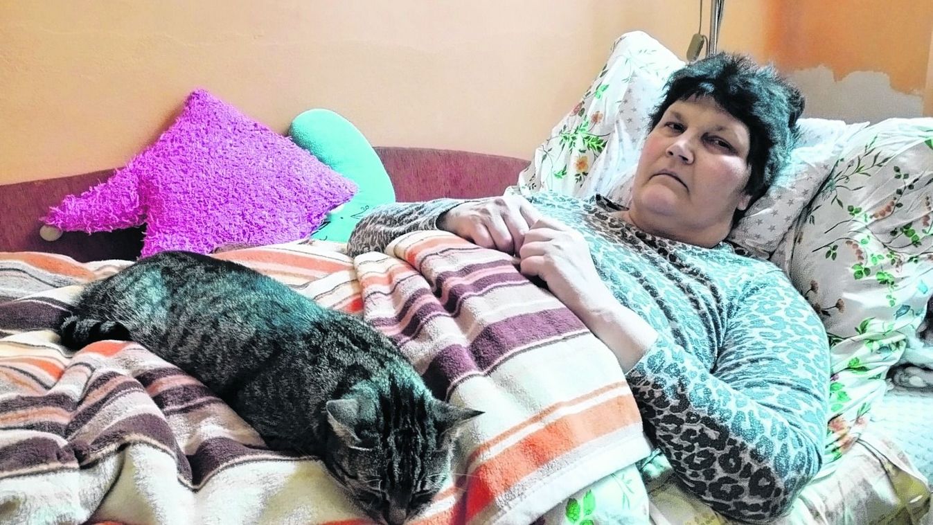 A betegágyán is a lányáért aggódik a győri édesanya