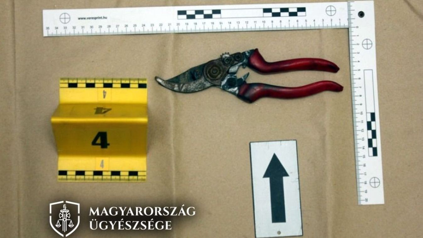 Fogóval, kalapáccsal, metszőollóval és öngyújtóval kínozta élettársát egy férfi