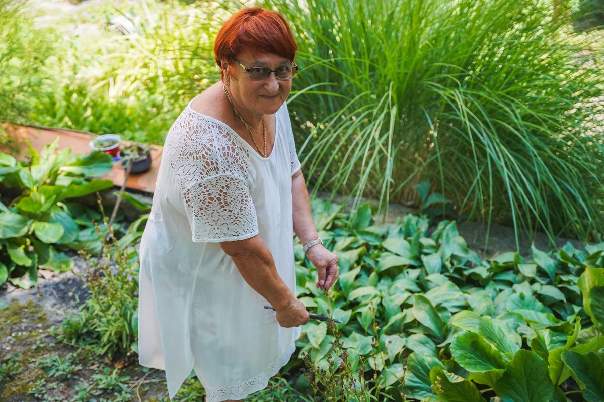 Margit a győri társasház előtti területből varázsol virágoskertet, hogy mindenki jobban érezze magát.