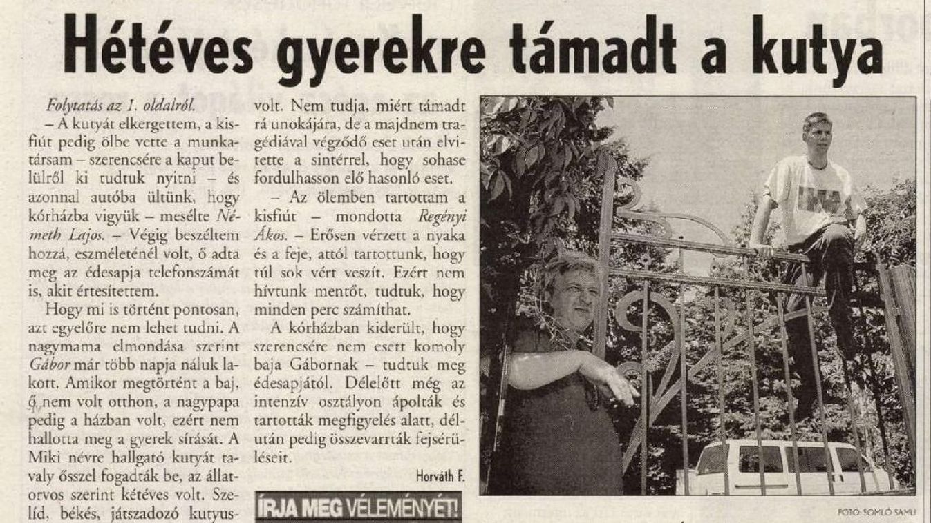 Megtámadott egy kisfiút egy farkaskutya Sopronban