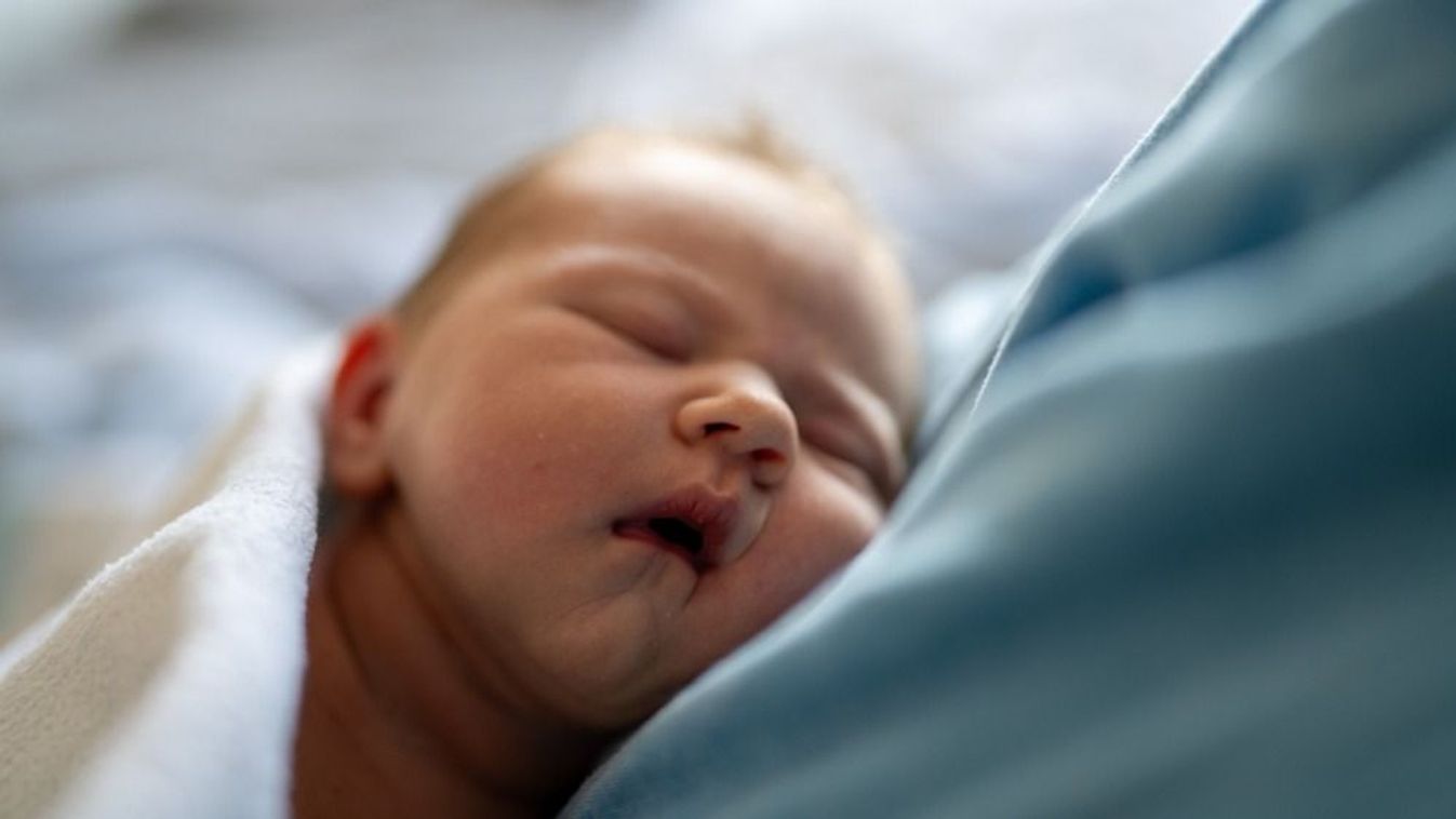 5 baba született csütörtökön Győrben