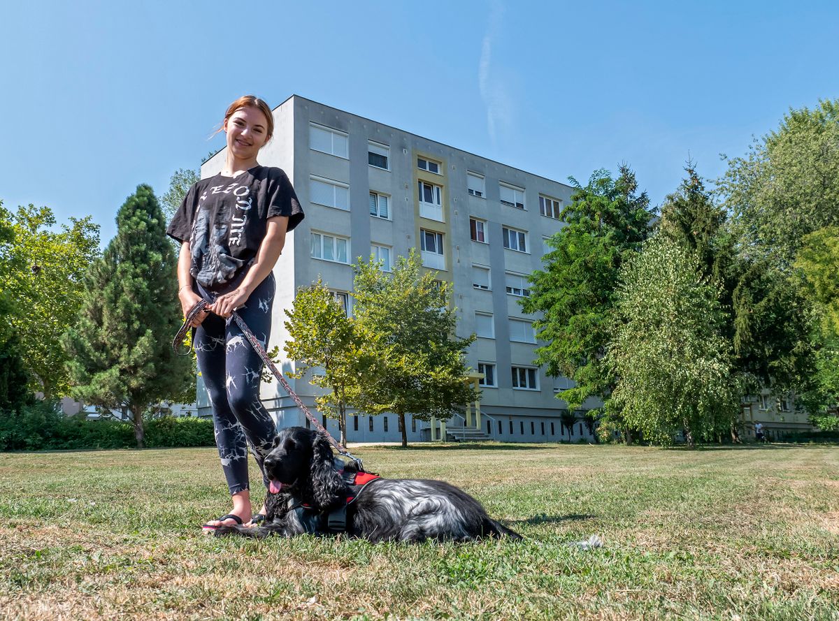 Panellakások – A soproni Jereván lakótelepen a panel épületek között rengeteg zöld terület található, ahol az itt lakók aktívan tölthetik el szabadidejüket. Képünkön Szűcs Lili kiskutyájával. 