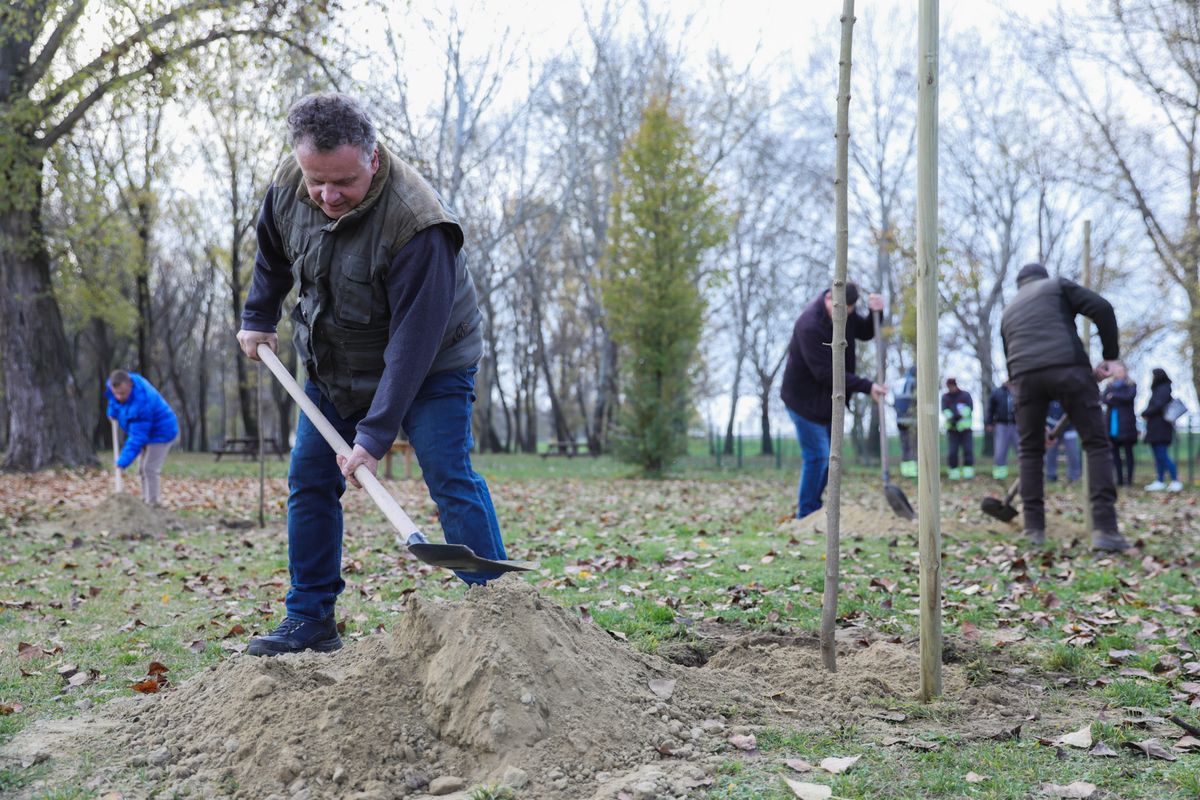 Jenei Ferenc polgármesteri főbiztos elmondta a következő évtől a szülők ültetnék el a fát gyermeküknek.