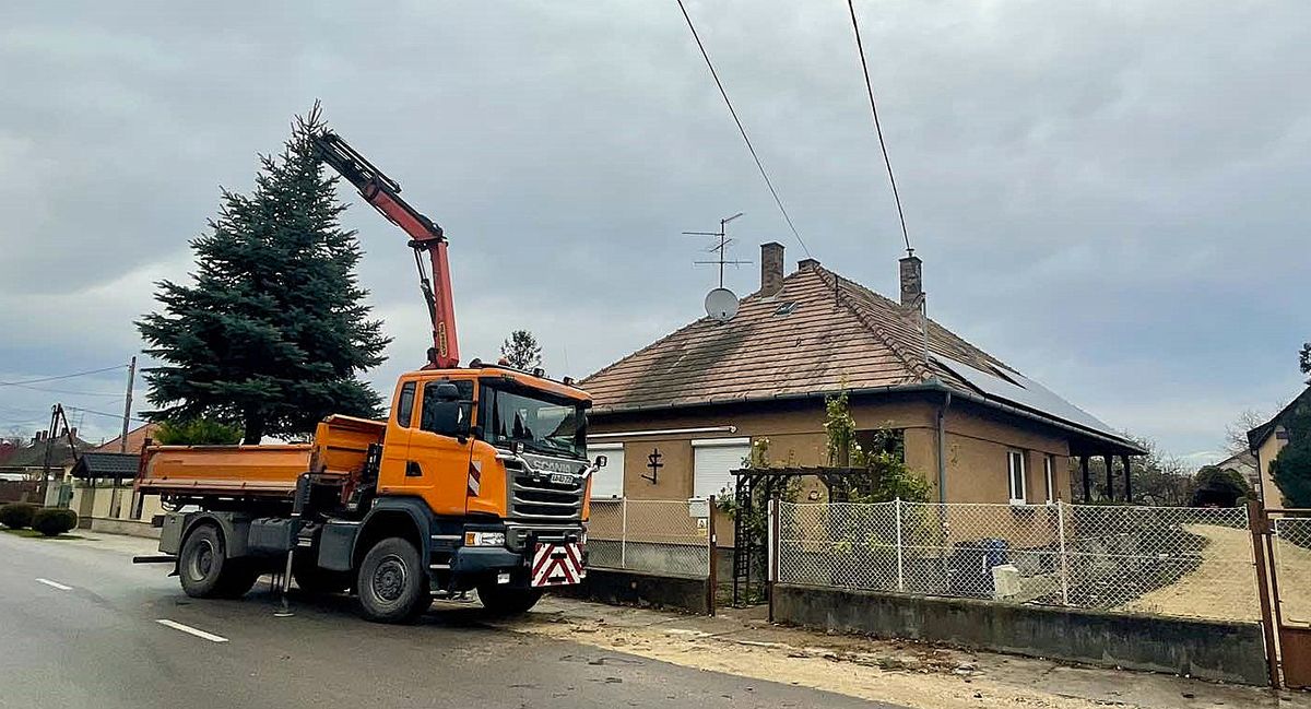 Karácsonyfa Mosonmagyaróváron. A Dobos család majoroki kertjében élt eddig a feajánlott ezüstfenyő