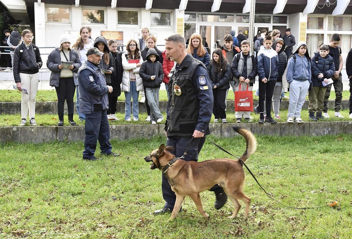 Rendőrkutyák bemutatója: Fazekas György rendőr őrnagy és s Tremmel Nándor rendőr főtörzszászlós a mosonmagyaróvári Flesch Központ előtt a fiataloknak mutatta be a négylábúak tudását