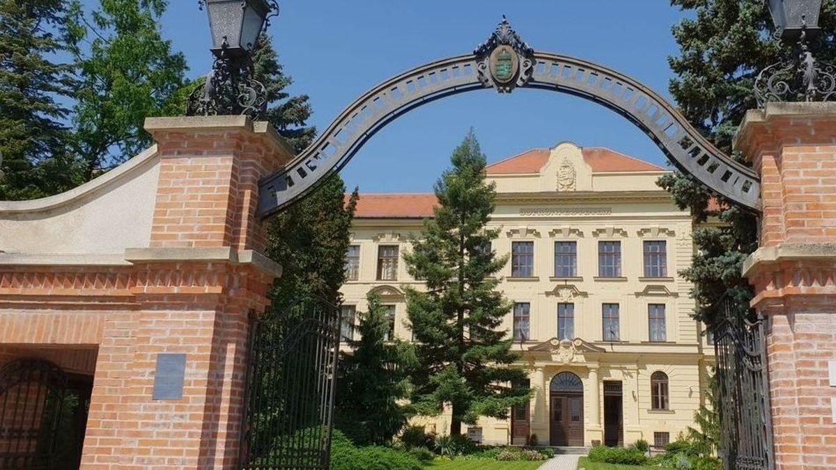 A Soproni Egyetemen nagy múltra tekint vissza a gyógypedagógia és
óvodapedagógus képzés. Az utóbbi években az agrár területekre is sok a jelentkező.