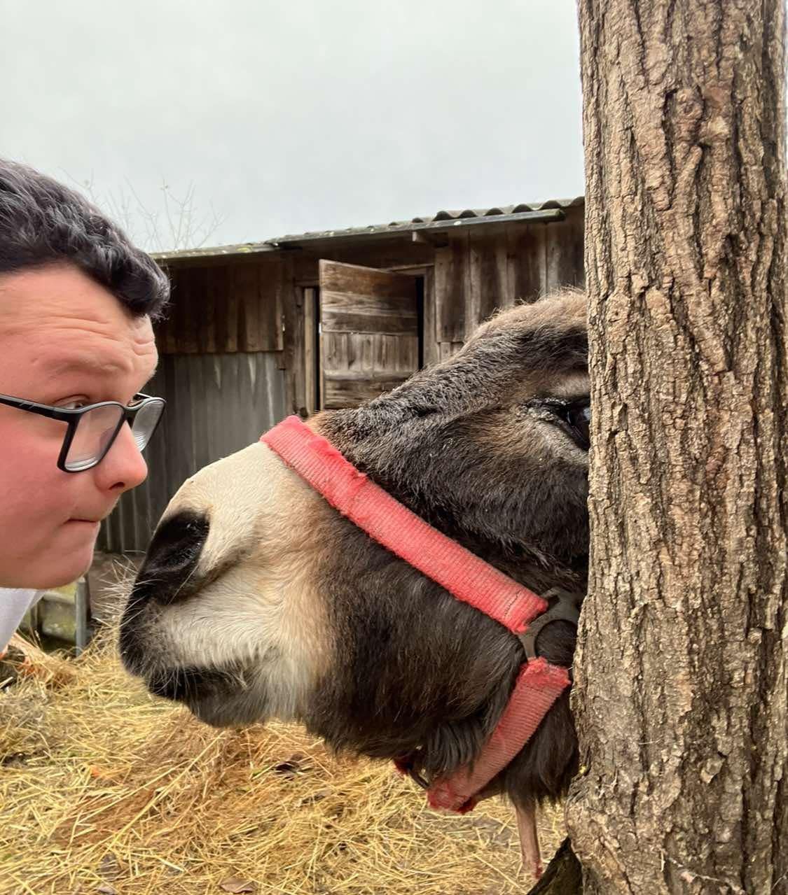 Két hónap múlva szeretnék a látogatók előtt is megnyitni a rezervátum kapuit.