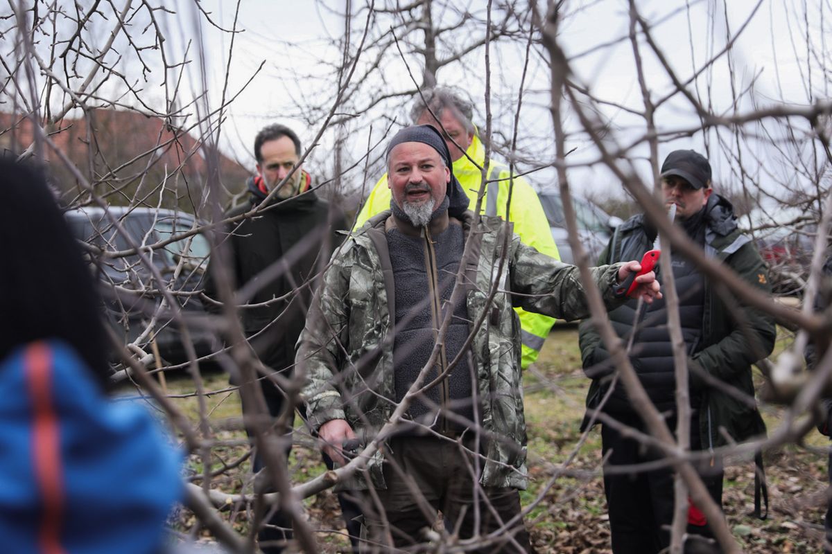 Babicz Szabolcs szakszerű bemutatója után otthon is jobban mehet a munka.A gyümölcsfa metszése nagyon fontos télen.