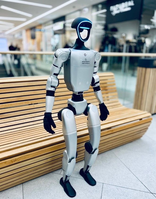 emberi robot humanoid robot