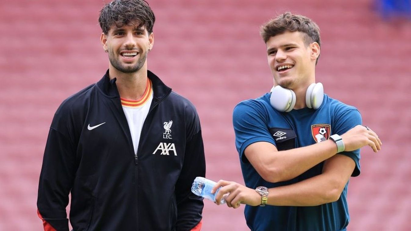 Nagyot nőtt a Premier League magyarjainak értéke