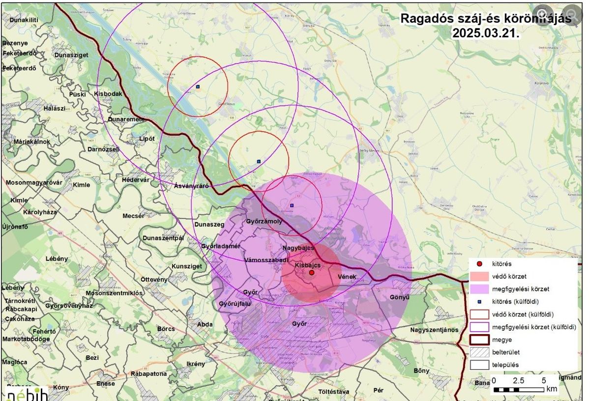 A száj- és körömfájás betegség megelőzésére óvintézkedéseket hoztak a térségben