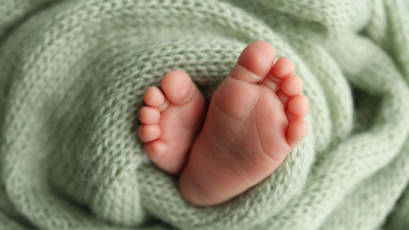 3 kisbaba született csütörtökön Sopronban