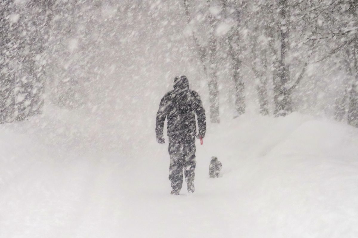 Black,And,White,Image,Of,A,Heavy,Snowfall.,Walking,With