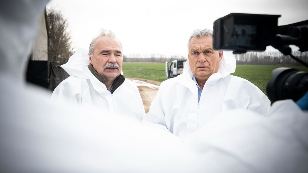 ORBÁN Viktor NAGY István száj- és körömfájás fejlemény vírus kisbajcs marha szlovákia