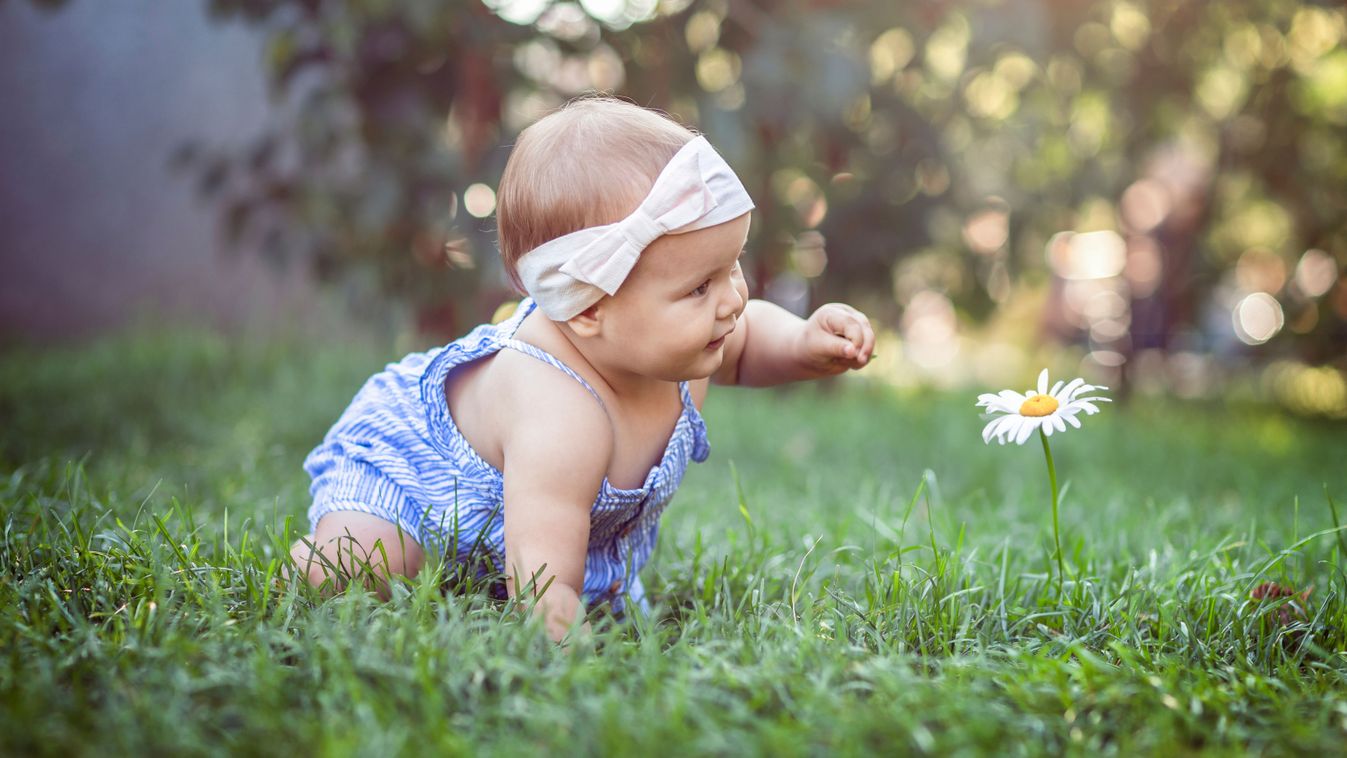 Győrben két kisfiú, Magyaróváron egy kislány született csütörtökön