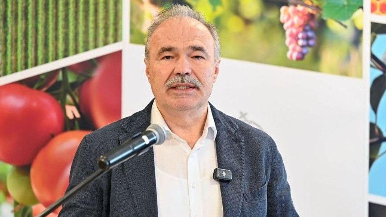Estére minden állatot leölnek, vasárnapra pedig elföldelik őket - Frissítve!