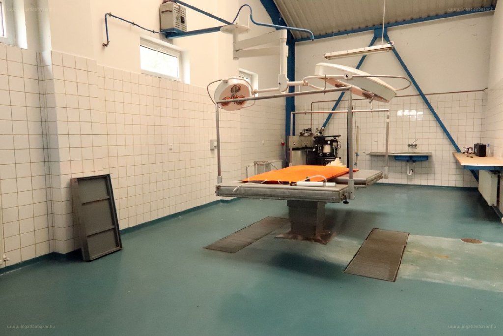 Állatkórház eladó Csornán. Eredeti funkciója mellett ipari célra is hasznosítható.