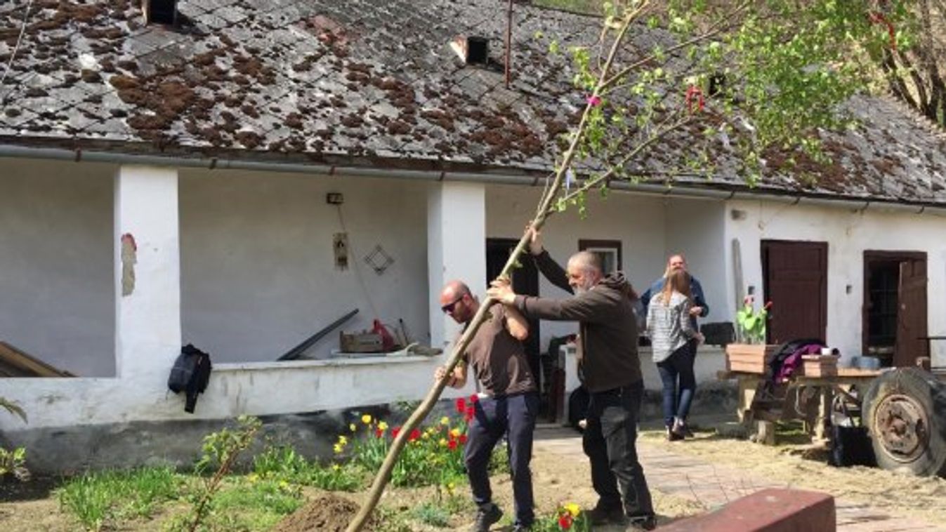 Ravazdon is lesz majális, még májusfát is állítanak