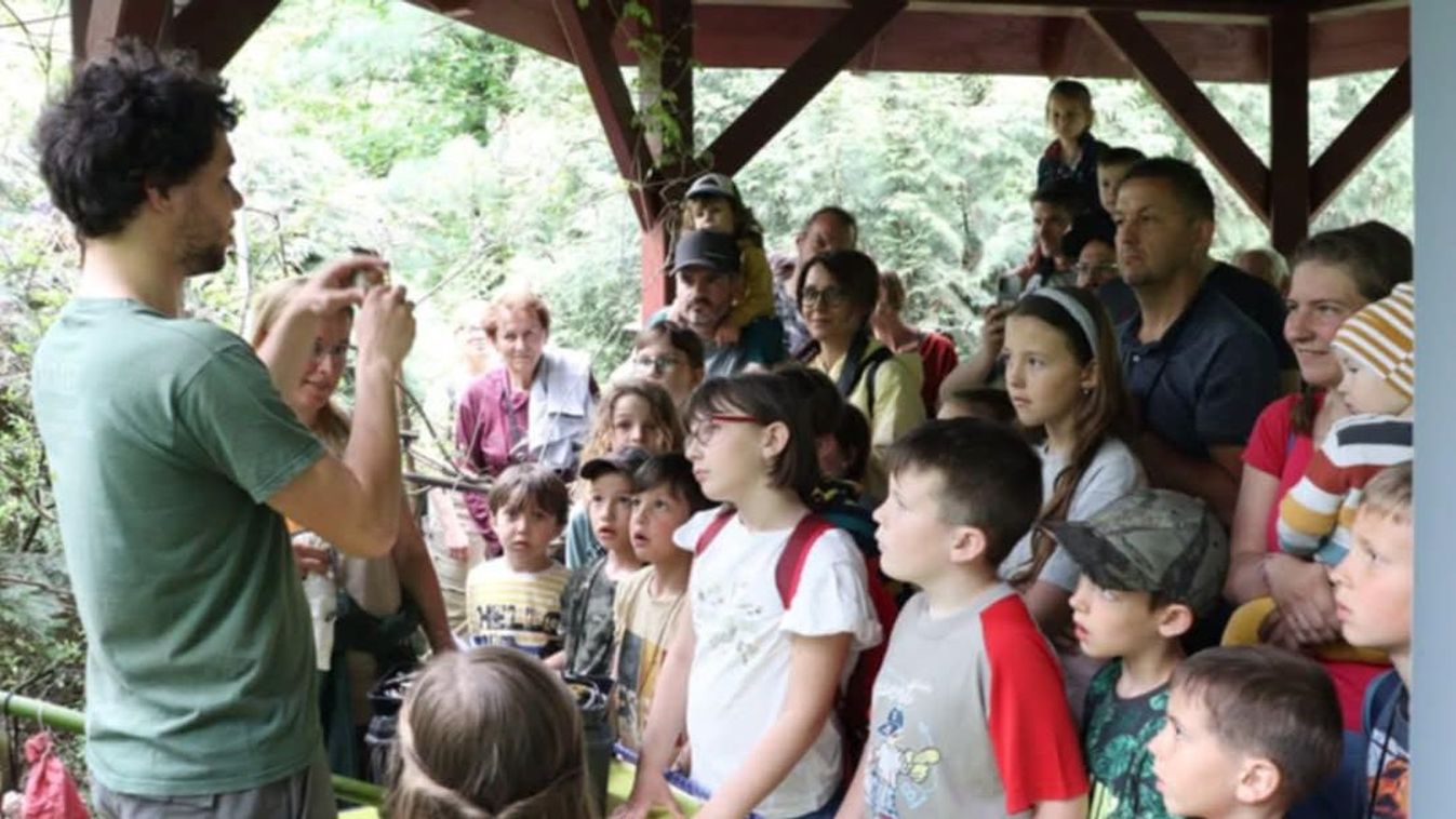 Gyerekprogram péntekre: madárodú-ellenőrzés Csanakon